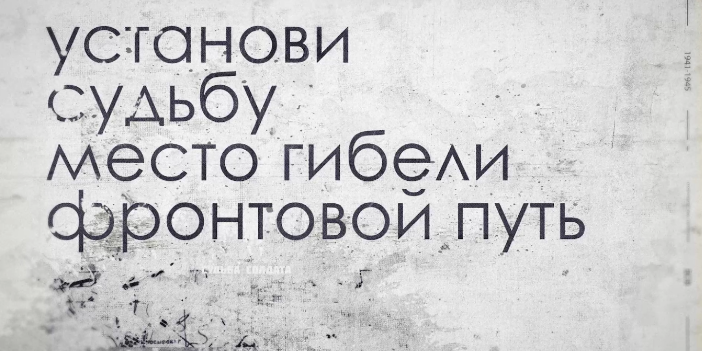 В Московской области стартовал проект «Судьба солдата. Московская область»